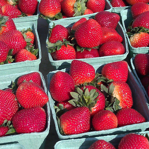 Sezonowe skarby: Jak wykorzystać aktualne promocje na warzywa i owoce?