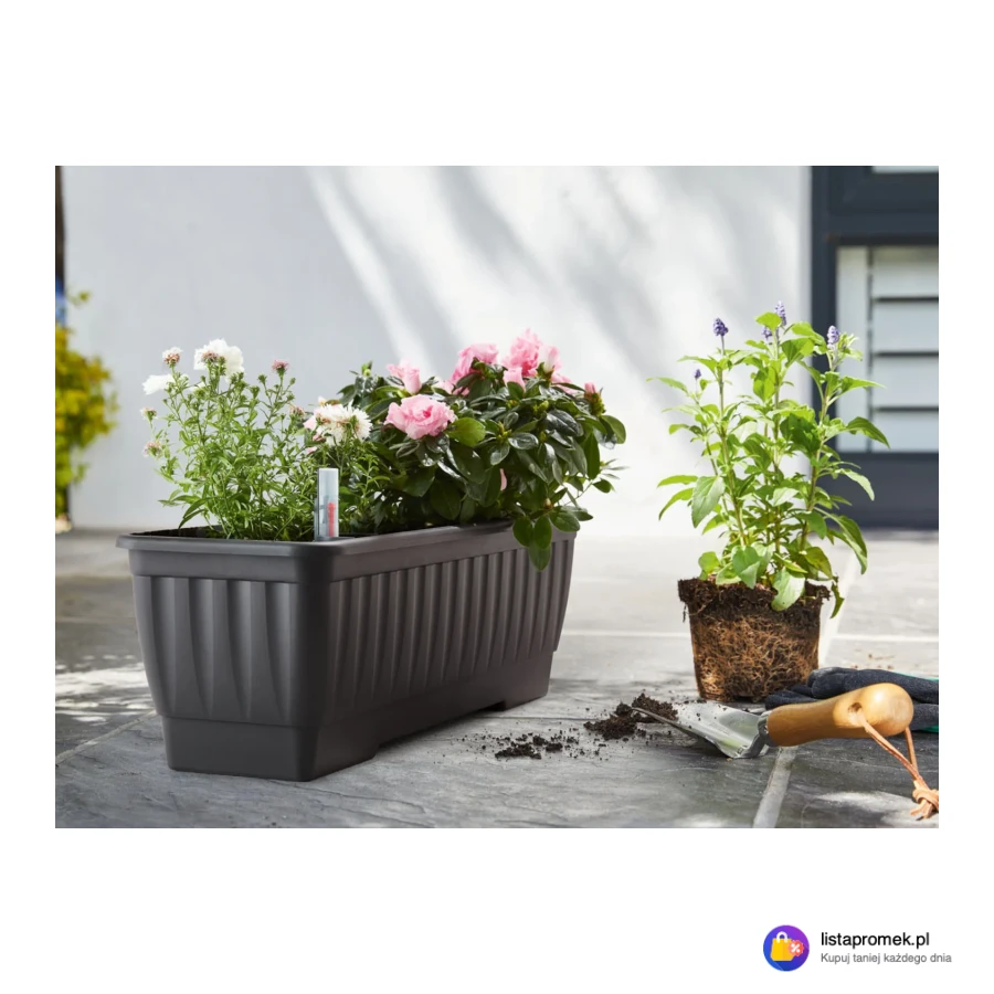 Skrzynka na sadzonki z podstawką, 58,5 cm