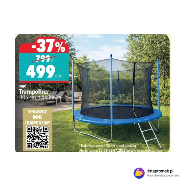 Trampolina 305 cm, z drabinką