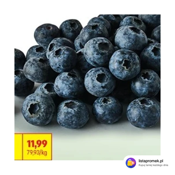 Borówka amerykańska XL