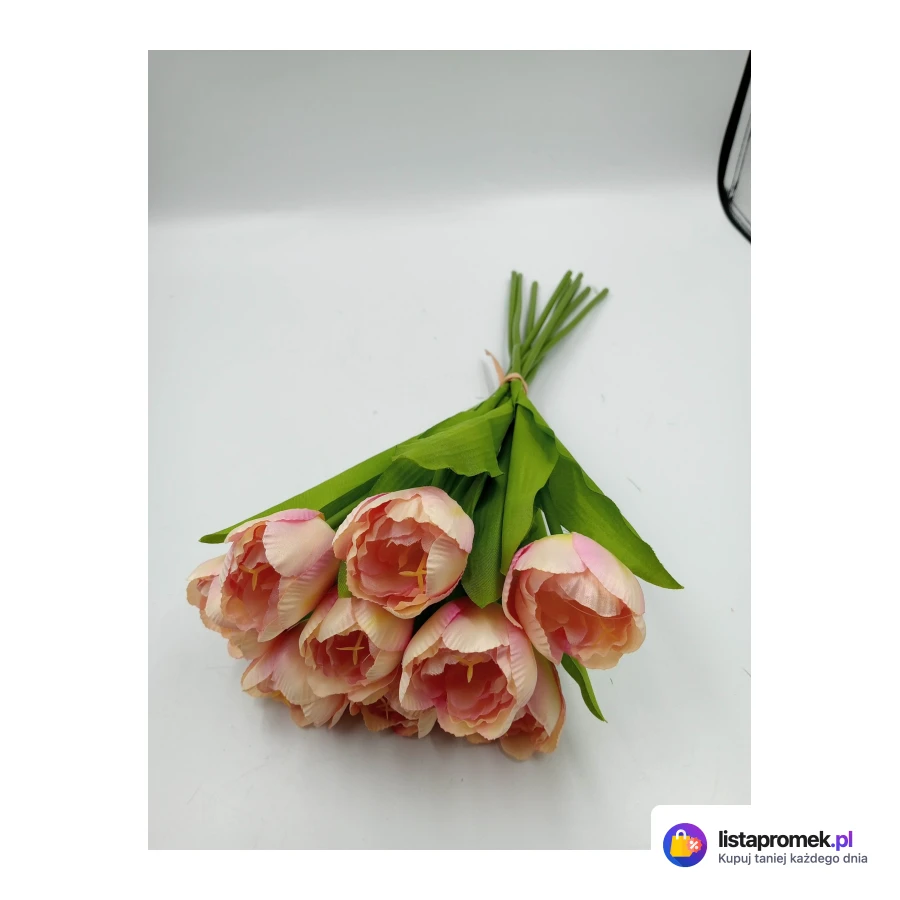 Tulipan, 9 szt.