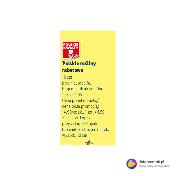Polskie rośliny rabatowe