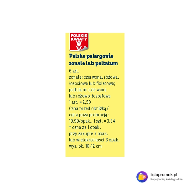 Polska pelargonia zonale lub peltatum