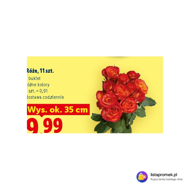 Róże, 11 szt.