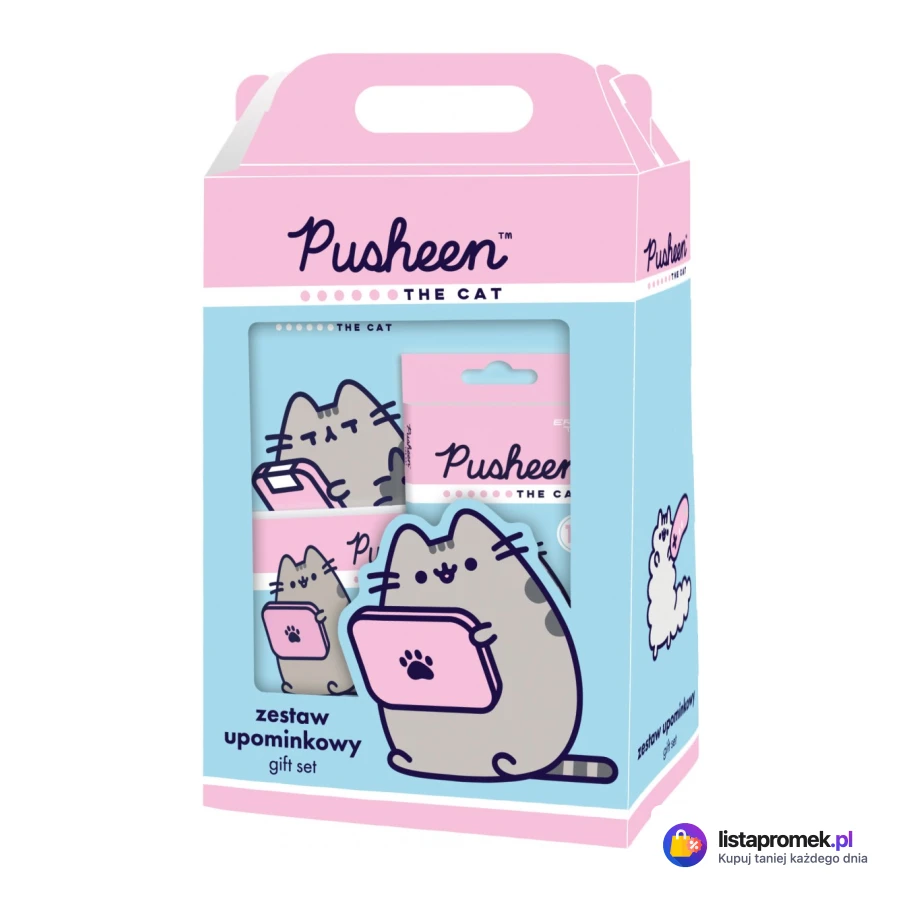 Artykuły szkolne i dekoracyjne Pusheen