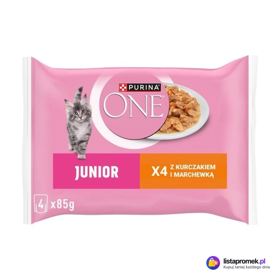 Karma dla kota w saszetkach Purina One, różne rodzaje